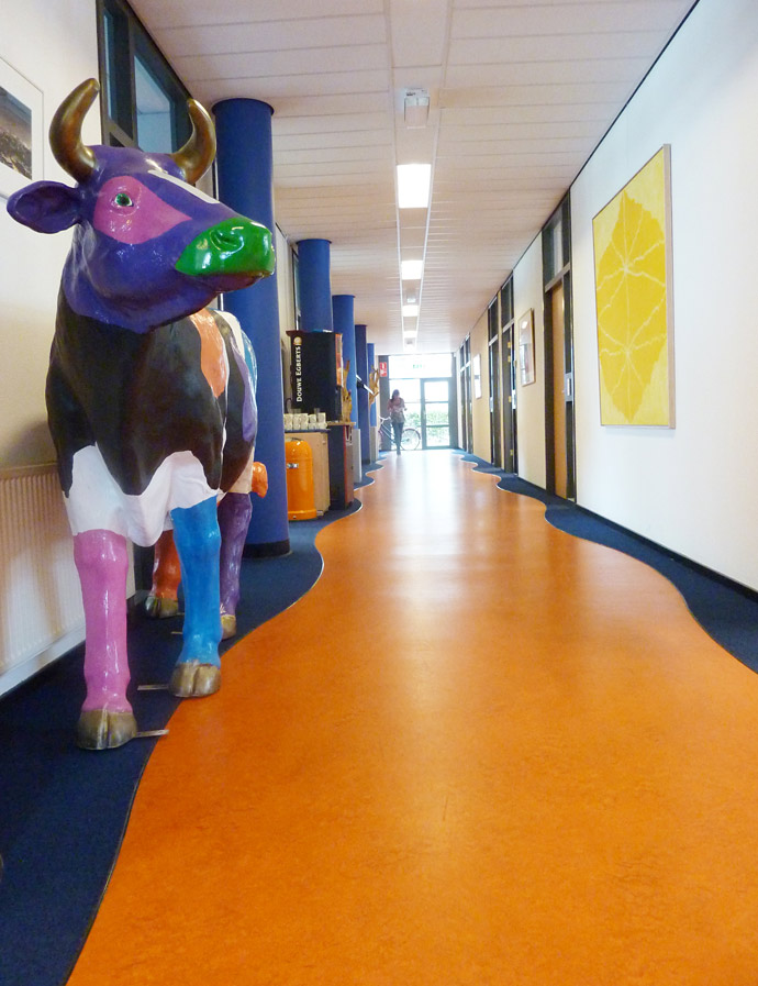 Steunpunt Onderwijs